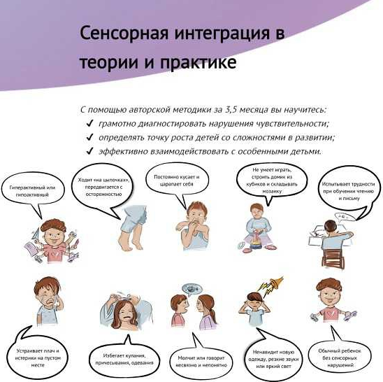 [Света Ревич] Сенсорная интеграция в теории и прак_0.png